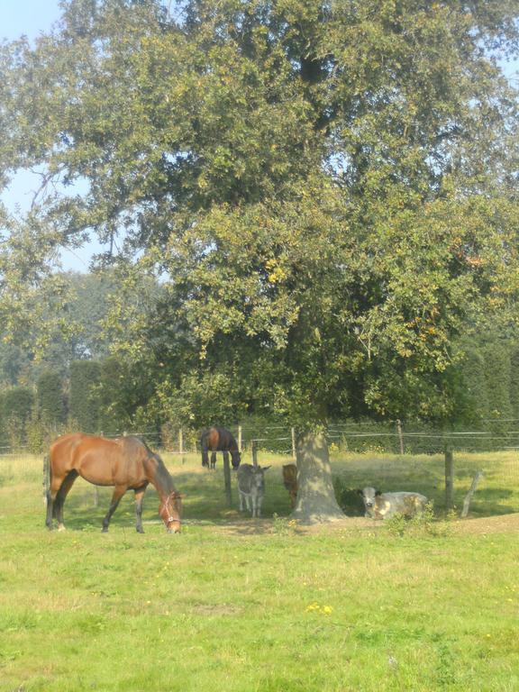 Farm Stay Luythoeve Meeuwen Εξωτερικό φωτογραφία