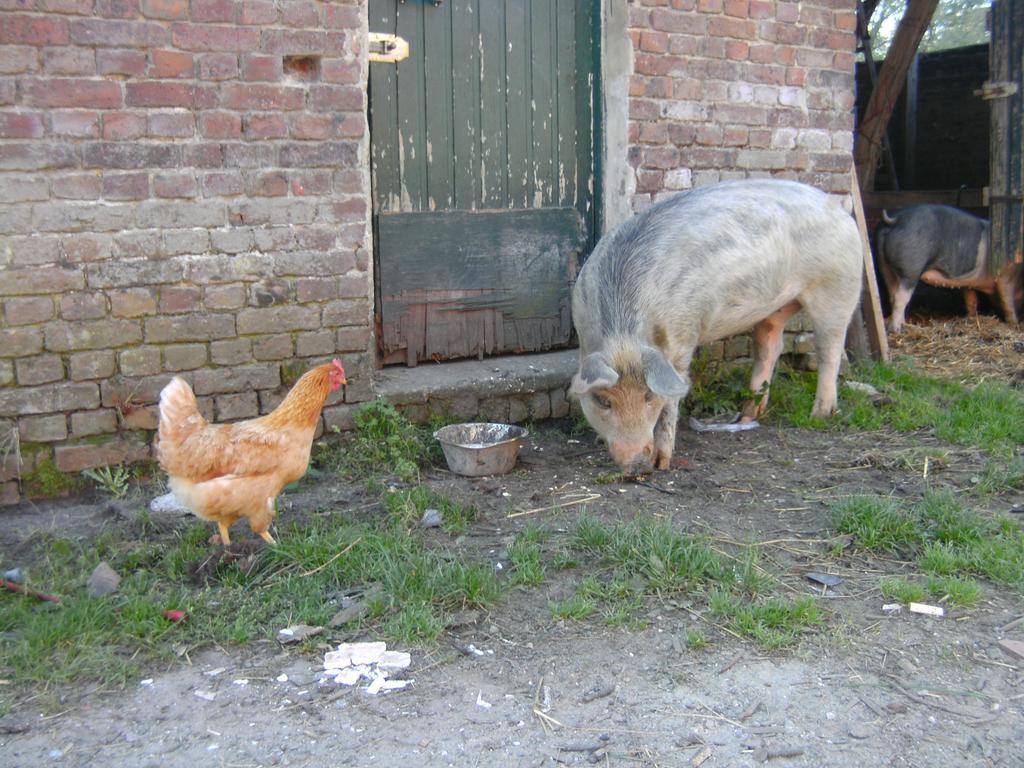 Farm Stay Luythoeve Meeuwen Εξωτερικό φωτογραφία